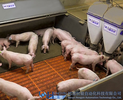 Плоский поверхность пол-новый тип